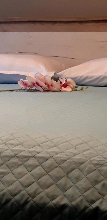 Sp+P Apartment Alepou Dış mekan fotoğraf